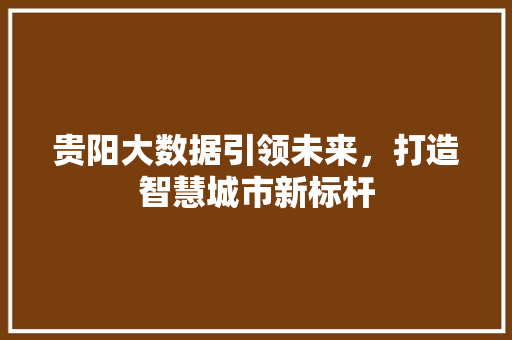 贵阳大数据引领未来，打造智慧城市新标杆