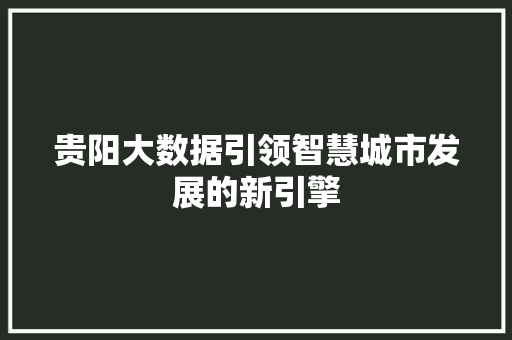 贵阳大数据引领智慧城市发展的新引擎