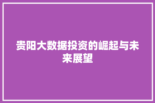贵阳大数据投资的崛起与未来展望