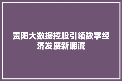 贵阳大数据控股引领数字经济发展新潮流
