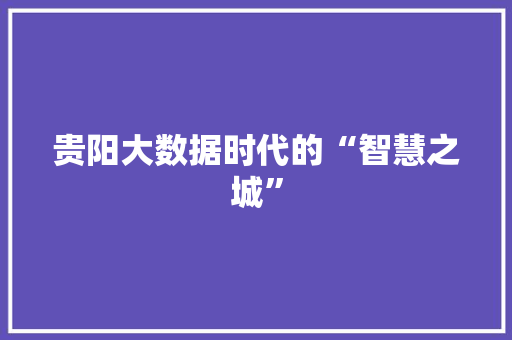 贵阳大数据时代的“智慧之城”