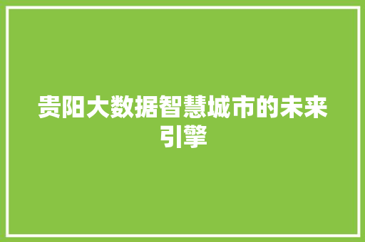 贵阳大数据智慧城市的未来引擎