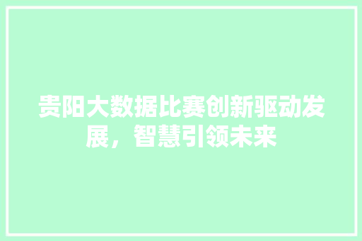 贵阳大数据比赛创新驱动发展，智慧引领未来