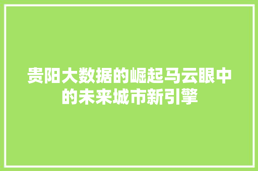 贵阳大数据的崛起马云眼中的未来城市新引擎
