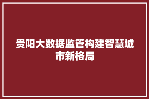 贵阳大数据监管构建智慧城市新格局