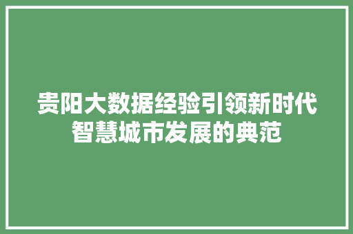 贵阳大数据经验引领新时代智慧城市发展的典范