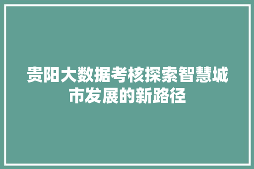 贵阳大数据考核探索智慧城市发展的新路径