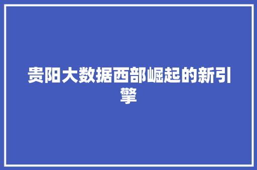 贵阳大数据西部崛起的新引擎