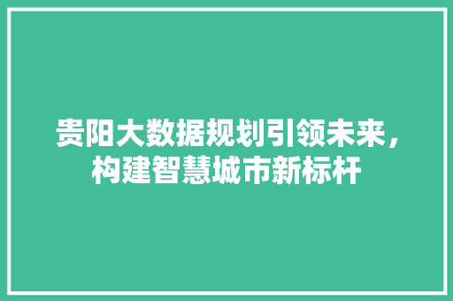 贵阳大数据规划引领未来，构建智慧城市新标杆
