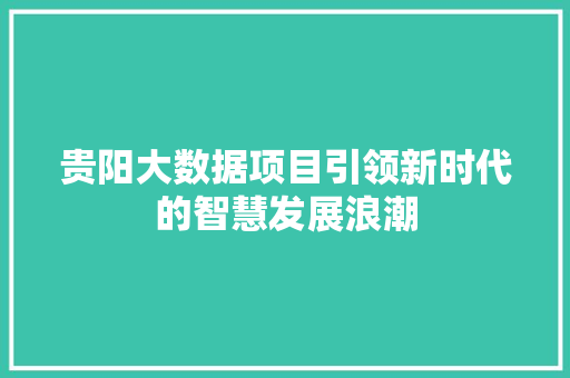 贵阳大数据项目引领新时代的智慧发展浪潮