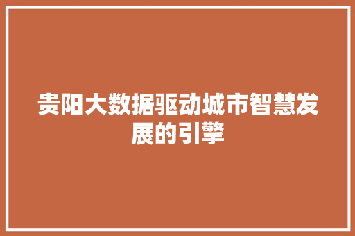 贵阳大数据驱动城市智慧发展的引擎