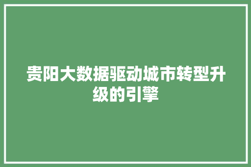 贵阳大数据驱动城市转型升级的引擎