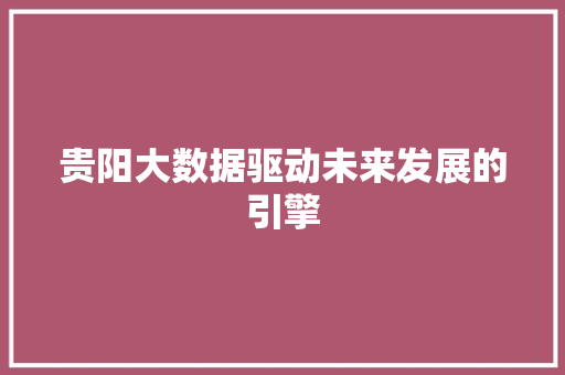 贵阳大数据驱动未来发展的引擎