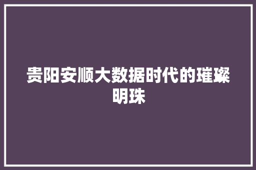 贵阳安顺大数据时代的璀璨明珠