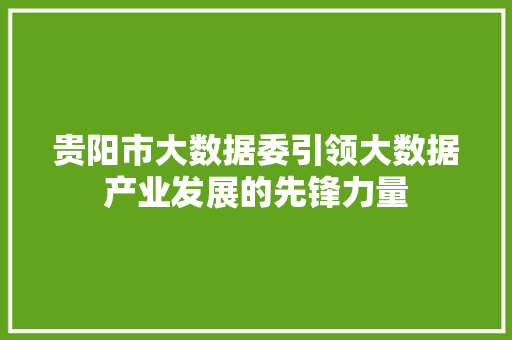 贵阳市大数据委引领大数据产业发展的先锋力量