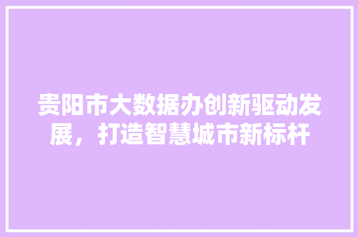 贵阳市大数据办创新驱动发展，打造智慧城市新标杆