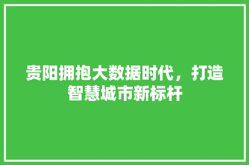 贵阳拥抱大数据时代，打造智慧城市新标杆