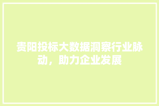 贵阳投标大数据洞察行业脉动，助力企业发展