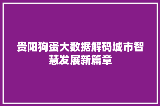 贵阳狗蛋大数据解码城市智慧发展新篇章