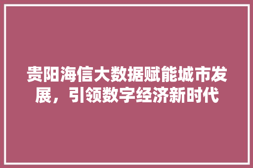 贵阳海信大数据赋能城市发展，引领数字经济新时代