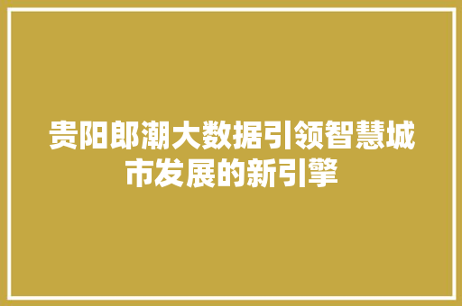 贵阳郎潮大数据引领智慧城市发展的新引擎