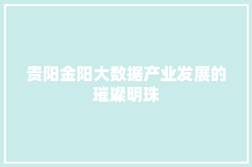 贵阳金阳大数据产业发展的璀璨明珠