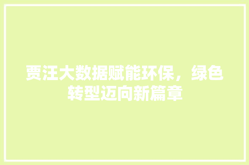 贾汪大数据赋能环保，绿色转型迈向新篇章