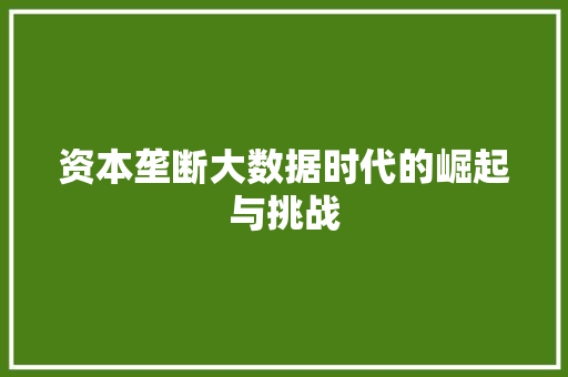 资本垄断大数据时代的崛起与挑战