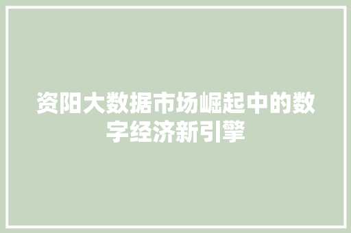 资阳大数据市场崛起中的数字经济新引擎