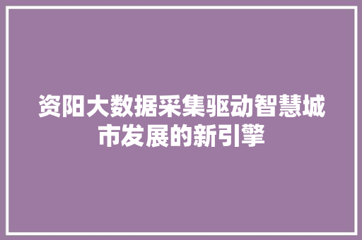 资阳大数据采集驱动智慧城市发展的新引擎