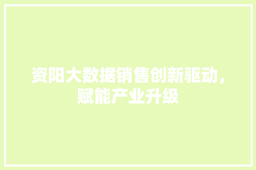 资阳大数据销售创新驱动，赋能产业升级