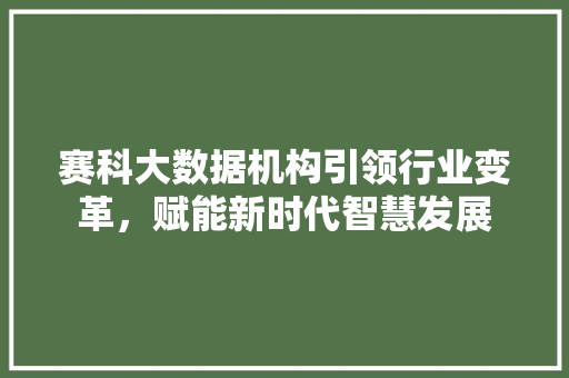 赛科大数据机构引领行业变革，赋能新时代智慧发展