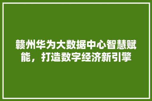 赣州华为大数据中心智慧赋能，打造数字经济新引擎