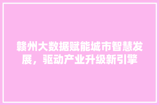 赣州大数据赋能城市智慧发展，驱动产业升级新引擎