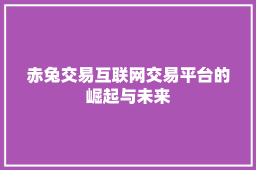 赤兔交易互联网交易平台的崛起与未来