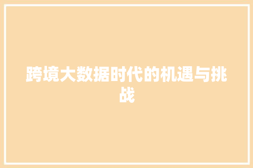 跨境大数据时代的机遇与挑战