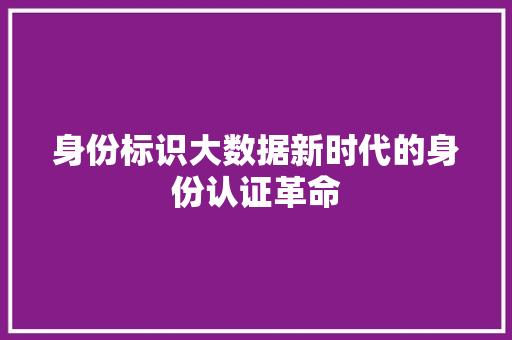 身份标识大数据新时代的身份认证革命