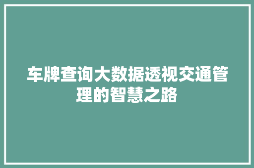 车牌查询大数据透视交通管理的智慧之路