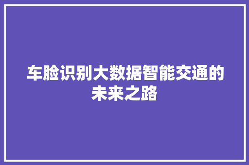 车脸识别大数据智能交通的未来之路