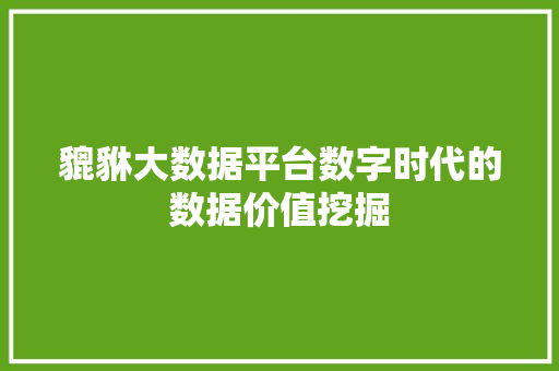 貔貅大数据平台数字时代的数据价值挖掘