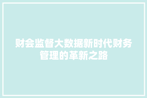 财会监督大数据新时代财务管理的革新之路