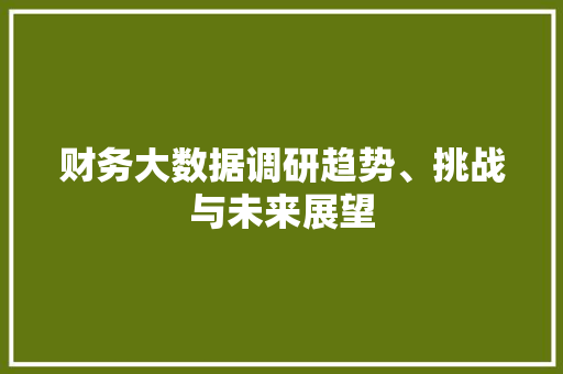 财务大数据调研趋势、挑战与未来展望