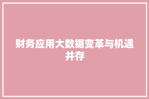 财务应用大数据变革与机遇并存
