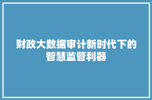 财政大数据审计新时代下的智慧监管利器