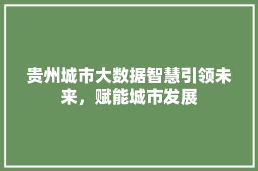 贵州城市大数据智慧引领未来，赋能城市发展