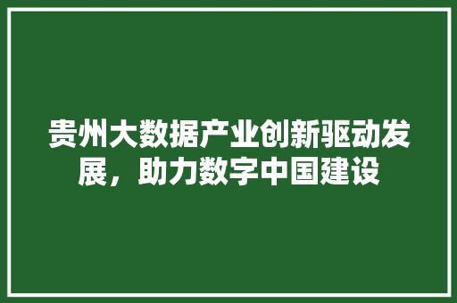 贵州大数据产业创新驱动发展，助力数字中国建设