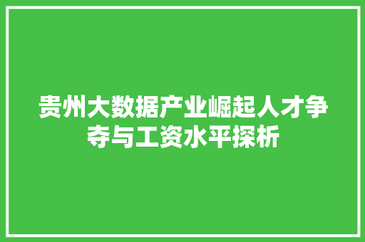 贵州大数据产业崛起人才争夺与工资水平探析 项目报告