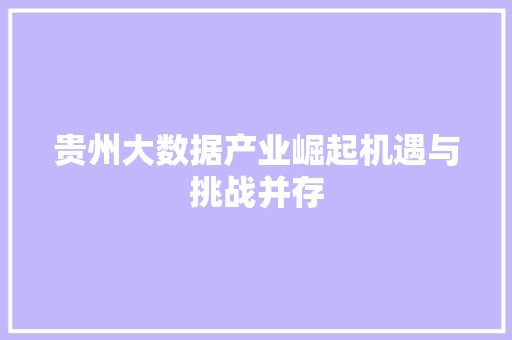 贵州大数据产业崛起机遇与挑战并存