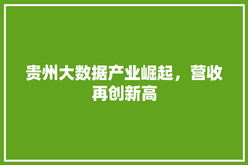 贵州大数据产业崛起，营收再创新高