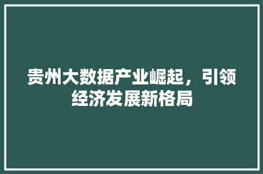 贵州大数据产业崛起，引领经济发展新格局